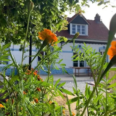 Le Moulin De La Planquette *
